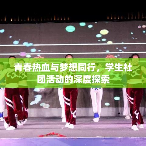 青春热血与梦想同行，学生社团活动的深度探索