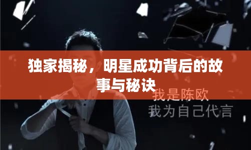 独家揭秘，明星成功背后的故事与秘诀