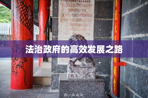 法治政府的高效发展之路