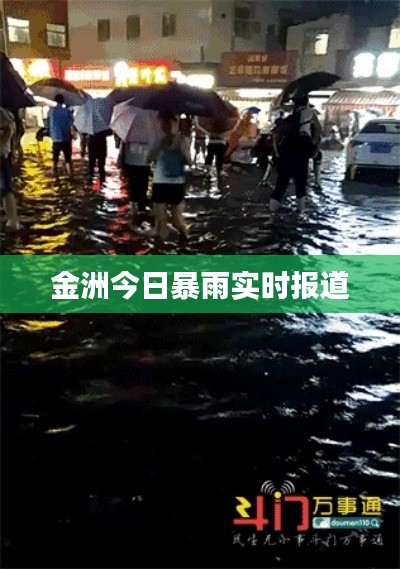 金洲今日暴雨实时报道