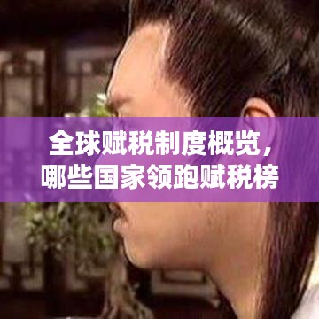 全球赋税制度概览，哪些国家领跑赋税榜单？