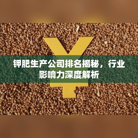 钾肥生产公司排名揭秘，行业影响力深度解析