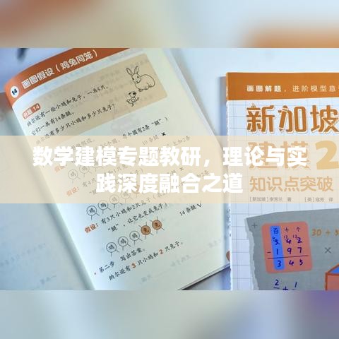 数学建模专题教研，理论与实践深度融合之道