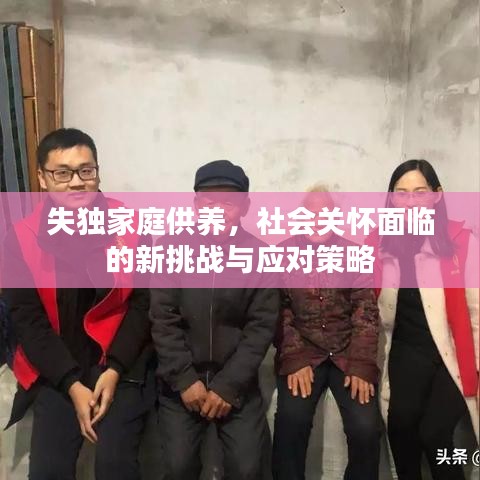 失独家庭供养，社会关怀面临的新挑战与应对策略