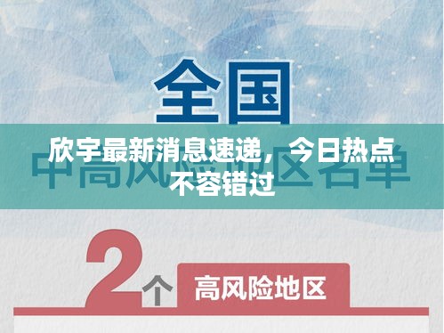 欣宇最新消息速递，今日热点不容错过