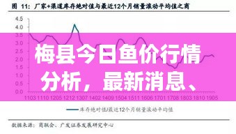 梅县今日鱼价行情分析，最新消息、市场走势与影响因素全解析