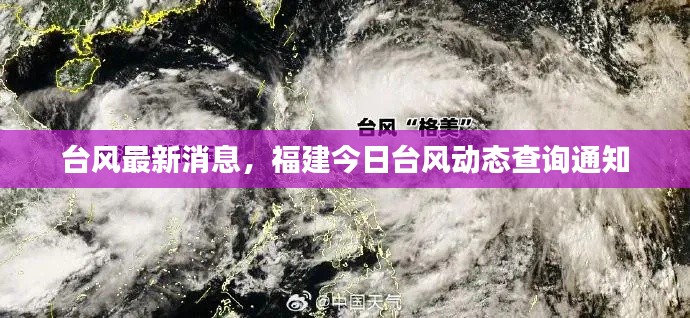 台风最新消息，福建今日台风动态查询通知