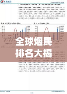 全球烟民排名大揭秘，烟草消费影响深度解析