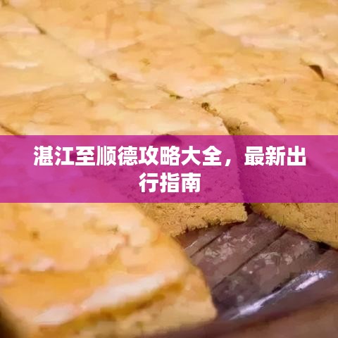 湛江至顺德攻略大全，最新出行指南