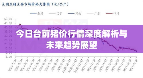 今日台前猪价行情深度解析与未来趋势展望