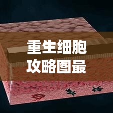 重生细胞攻略图最新版，游戏指南与战术深度解析