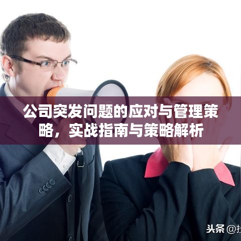 公司突发问题的应对与管理策略，实战指南与策略解析