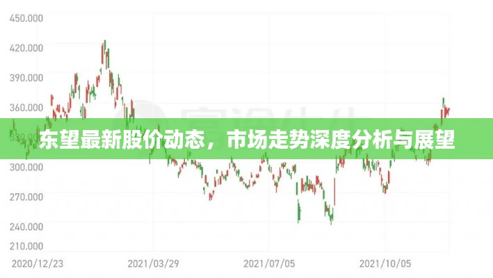 东望最新股价动态，市场走势深度分析与展望