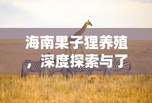 海南果子狸养殖，深度探索与了解