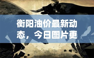 衡阳油价最新动态，今日图片更新及市场深度解析