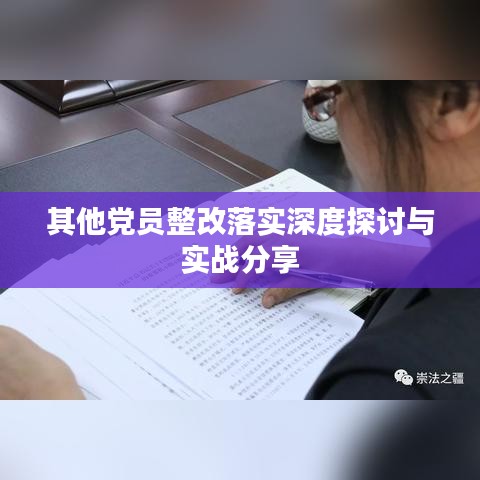 其他党员整改落实深度探讨与实战分享