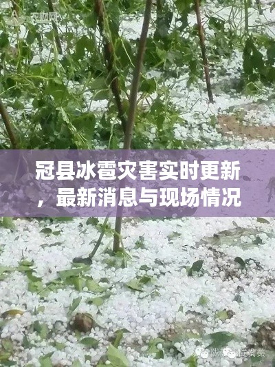 冠县冰雹灾害实时更新，最新消息与现场情况