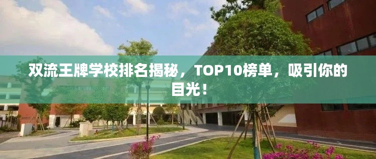 双流王牌学校排名揭秘，TOP10榜单，吸引你的目光！