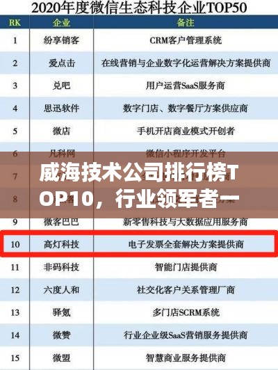 威海技术公司排行榜TOP10，行业领军者一览