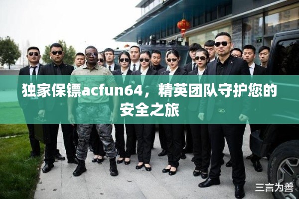 独家保镖acfun64，精英团队守护您的安全之旅