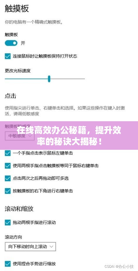 在线高效办公秘籍，提升效率的秘诀大揭秘！