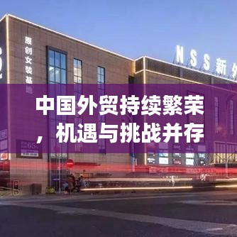 中国外贸持续繁荣，机遇与挑战并存