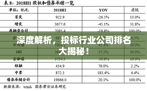 深度解析，投标行业公司排名大揭秘！