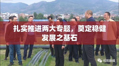 扎实推进两大专题，奠定稳健发展之基石