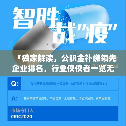 「独家解读，公积金补缴领先企业排名，行业佼佼者一览无遗」