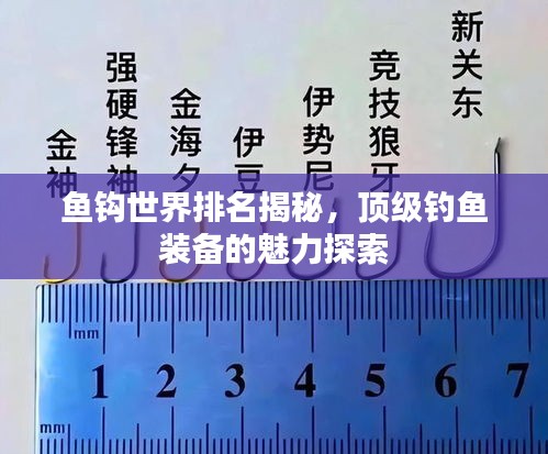 鱼钩世界排名揭秘，顶级钓鱼装备的魅力探索