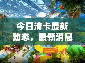 今日清卡最新动态，最新消息一网打尽