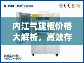 内江气旋柜价格大解析，高效存储，实惠之选！