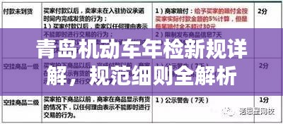 青岛机动车年检新规详解，规范细则全解析