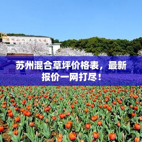 苏州混合草坪价格表，最新报价一网打尽！
