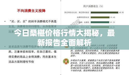 今日桑椹价格行情大揭秘，最新报告全面解析