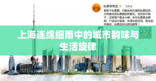 2025年5月28日 第4页