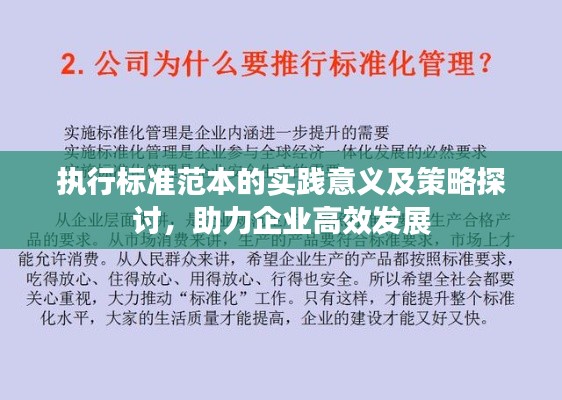 执行标准范本的实践意义及策略探讨，助力企业高效发展