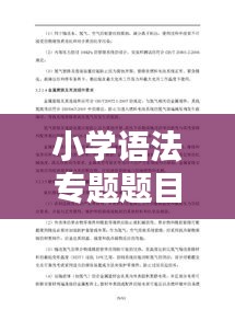 小学语法专题题目深度解析