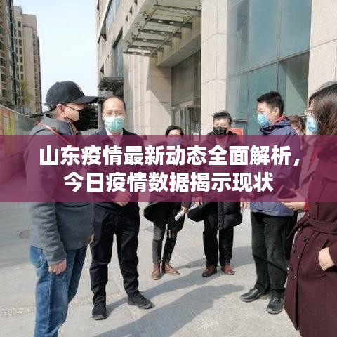 山东疫情最新动态全面解析，今日疫情数据揭示现状