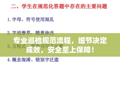 专业巡检规范流程，细节决定成败，安全至上保障！