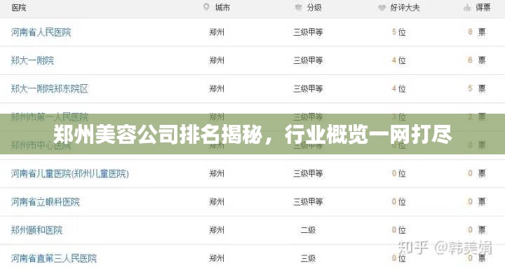 郑州美容公司排名揭秘，行业概览一网打尽