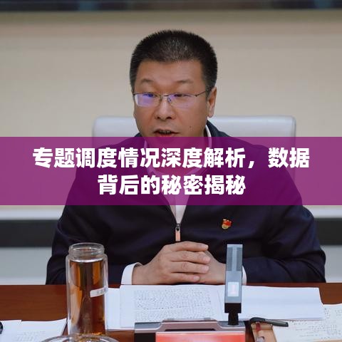 专题调度情况深度解析，数据背后的秘密揭秘