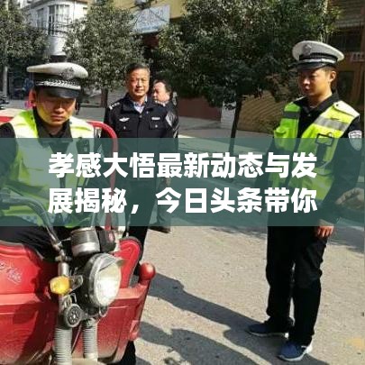 孝感大悟最新动态与发展揭秘，今日头条带你直击现场