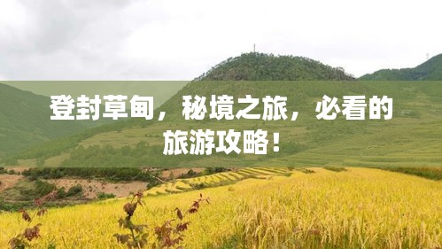 登封草甸，秘境之旅，必看的旅游攻略！