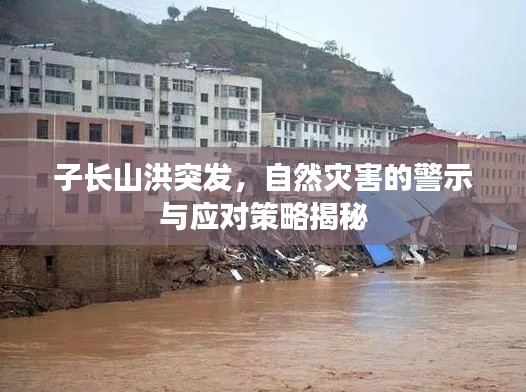子长山洪突发，自然灾害的警示与应对策略揭秘