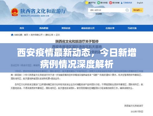 西安疫情最新动态，今日新增病例情况深度解析