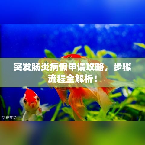 突发肠炎病假申请攻略，步骤流程全解析！