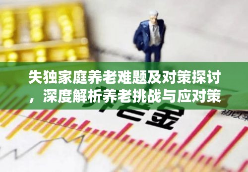 失独家庭养老难题及对策探讨，深度解析养老挑战与应对策略