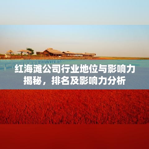 红海滩公司行业地位与影响力揭秘，排名及影响力分析