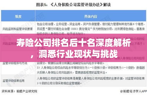 寿险公司排名后十名深度解析，洞悉行业现状与挑战